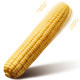 Wistone Maize 10 Modlu Mısır Tasarımlı Titreşimli Dildo
