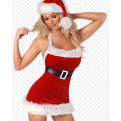 Seksi Noel Kostümü